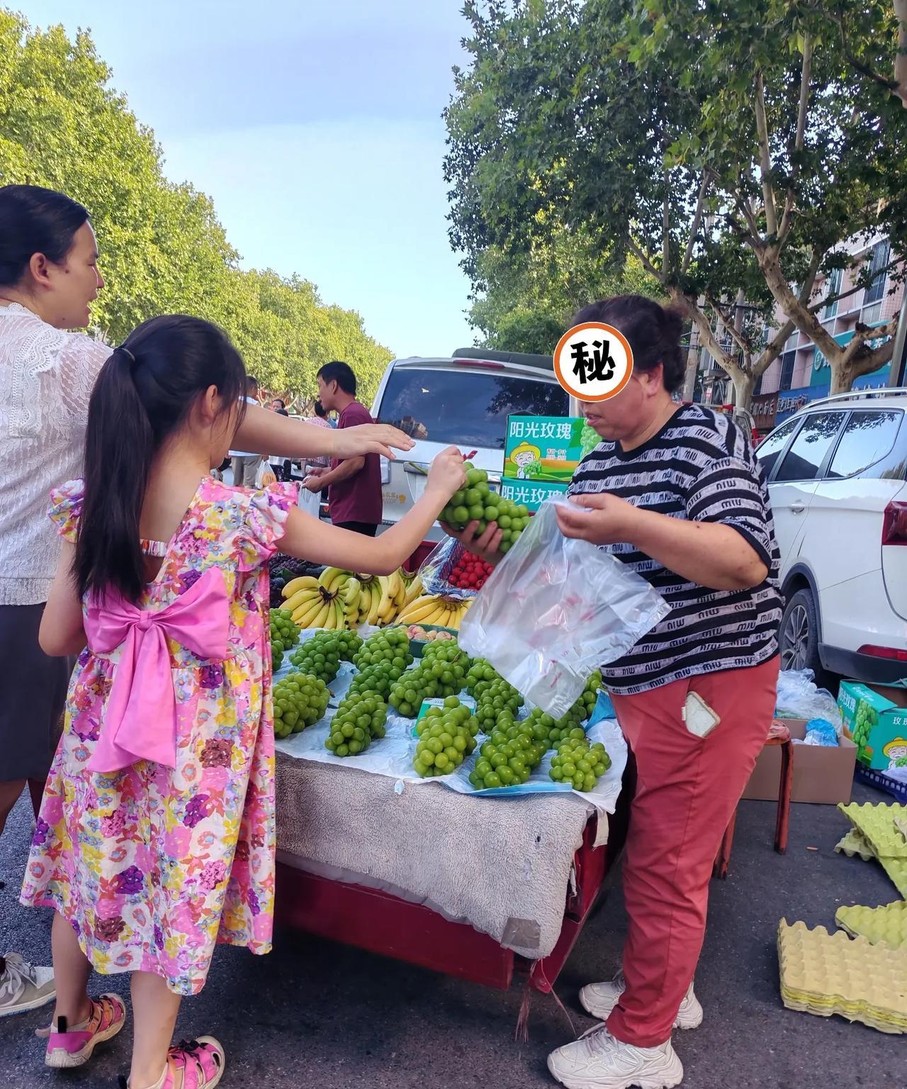 阳光玫瑰一年不如一年。
8月17日，这是我今天拍摄到的几张图片，发现曾经高高在上