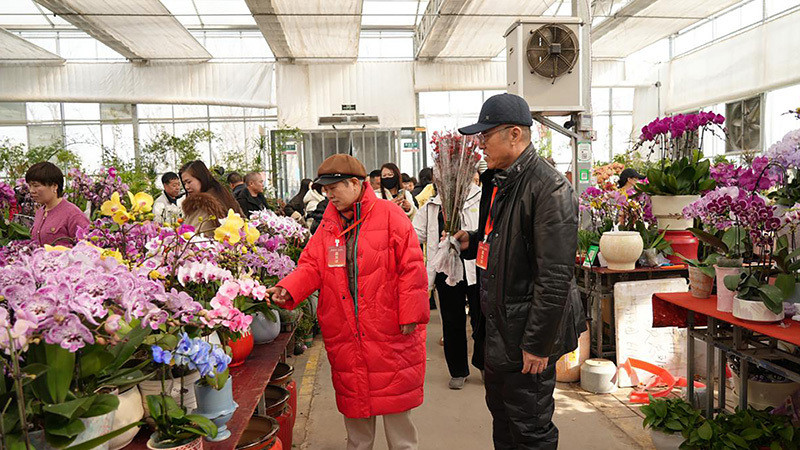 “游雄安 享未来”安居雄安行首站活动成功举办