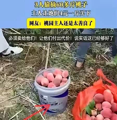 6月10日，安徽，三个人偷了女子60斤桃子 小杨没报警，反倒4元1斤卖给对方。
