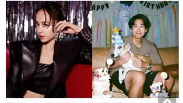 破镜重圆？台媒曝蔡依林彭于晏低调复合6年，同款玫瑰餐厅藏玄机