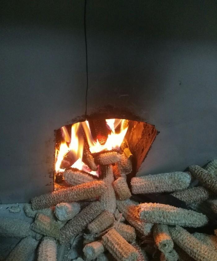秋冬天的天水农村真的不适合我待。这几天连续下雨，气温陡降，空气潮湿。村里家家户户