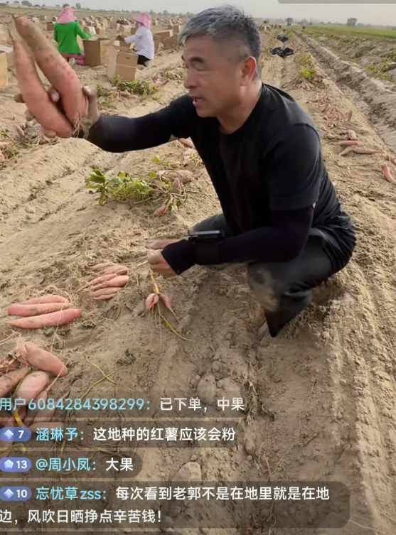 郭刚堂又去新疆卖红薯了！网友说，每次看见老郭直播，不是在地里就是在地边，赚的都是