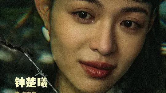 2025电视剧《借命而生》全集高清免费在线观看_《借命而生》高清完整版在线观看秦昊韩庚主演- VS影