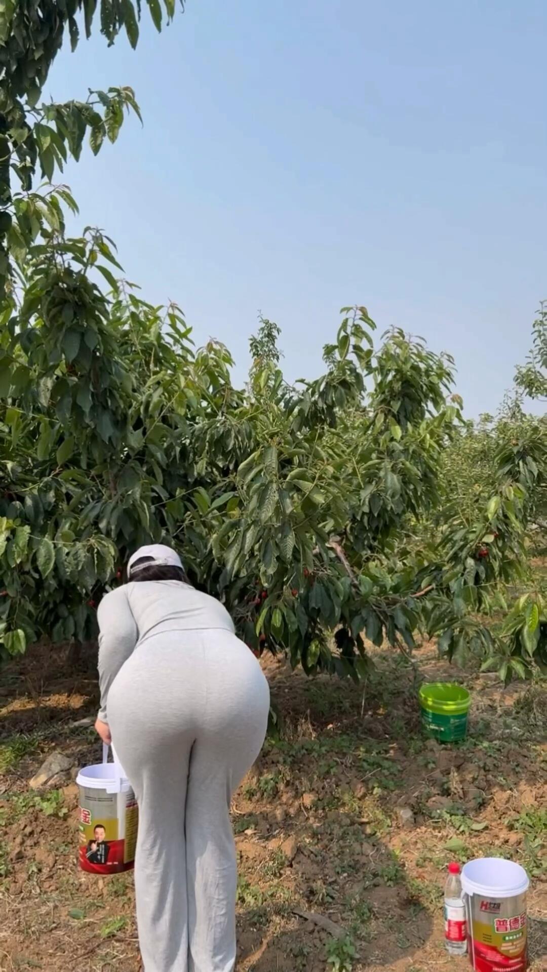 今天陪表妹出来果园走走。