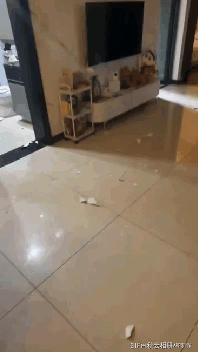 菜单砍电线啊，赶紧离了吧，这种人做事不顾后果