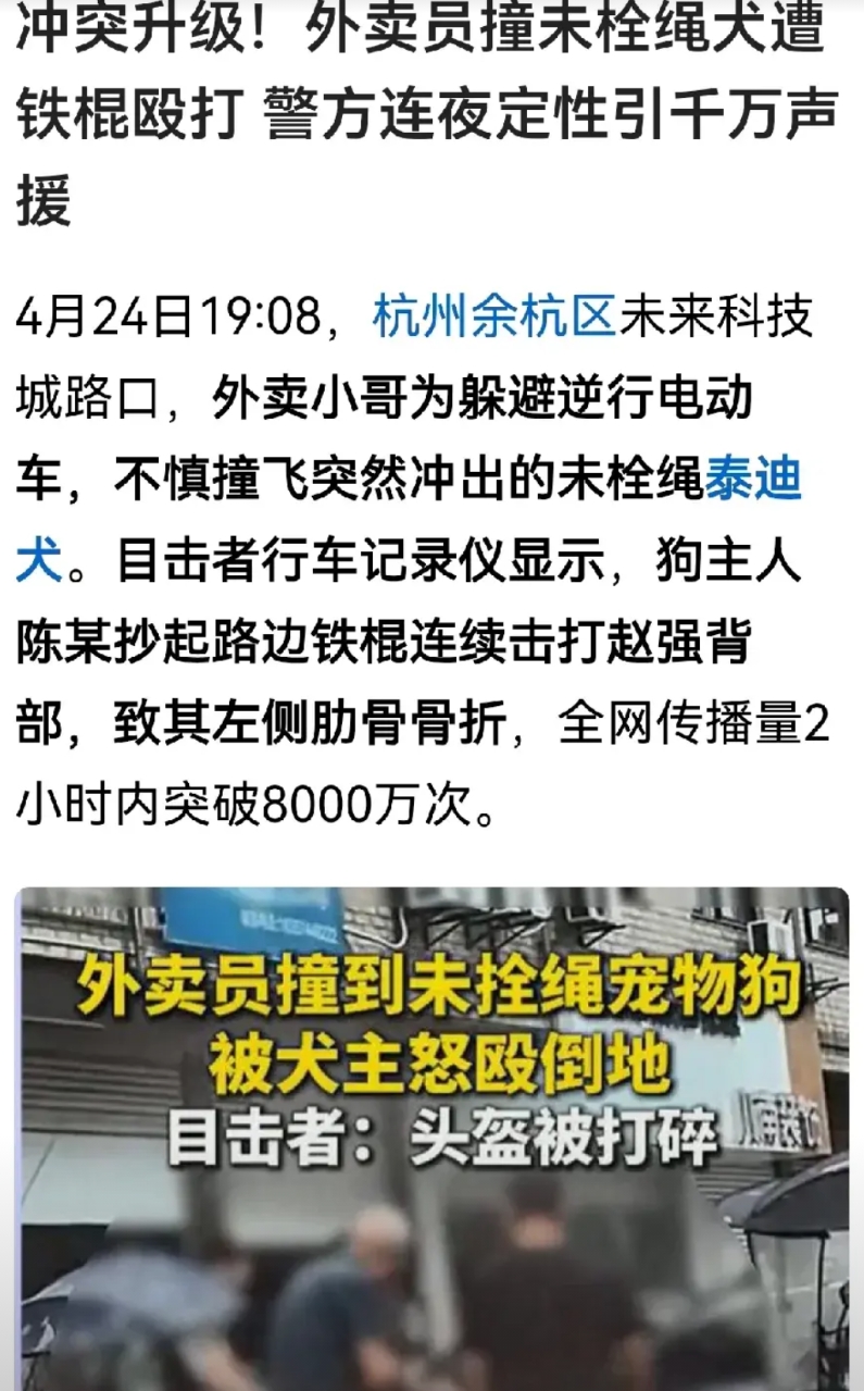 狗主人老婆：法律不能只为人服务！
4月24日，杭州余杭外卖员撞死未栓绳泰迪，被狗