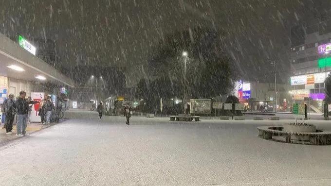 东京突然下雪了！