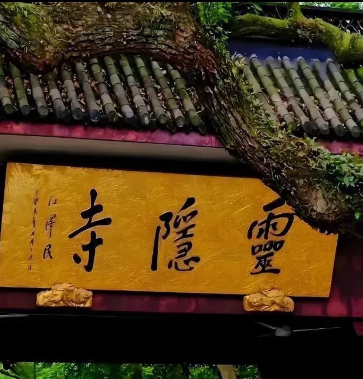 十几年了，每到8月份，我便携着一叠红票子，往杭州去。
住西湖边的木屋酒店，翌日早