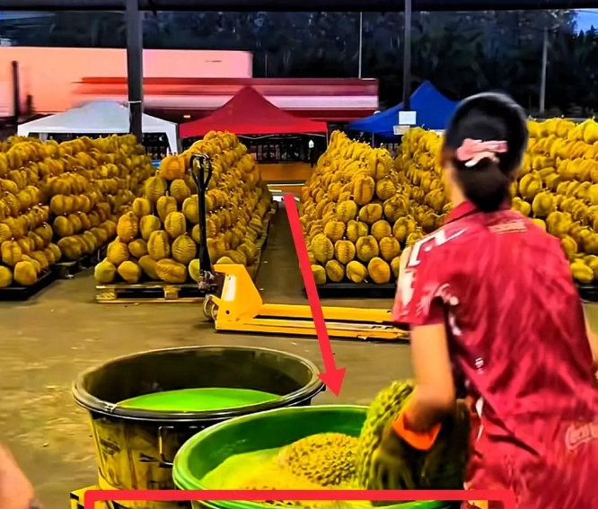 毒从“壳”起：泰国榴莲刷染料，百箱毒果被中国海关拦下！