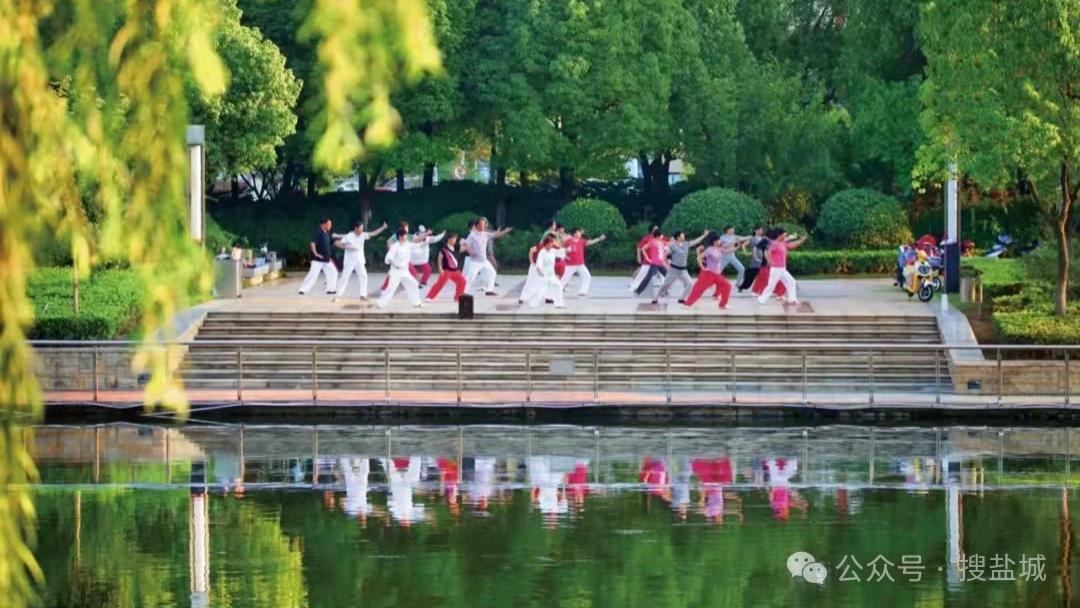 这 是 我 们 的 盐 城 ！