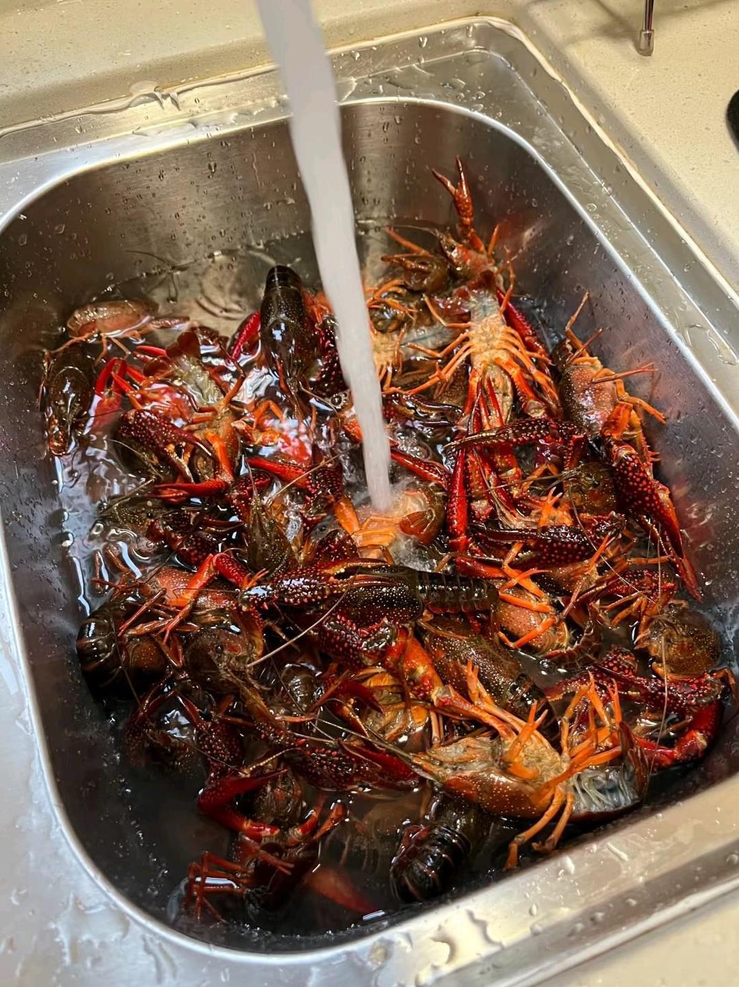 再也不买活的小龙虾了，
13元一斤价格倒挺便宜，
可自己刷着也太费劲了，
儿子愿