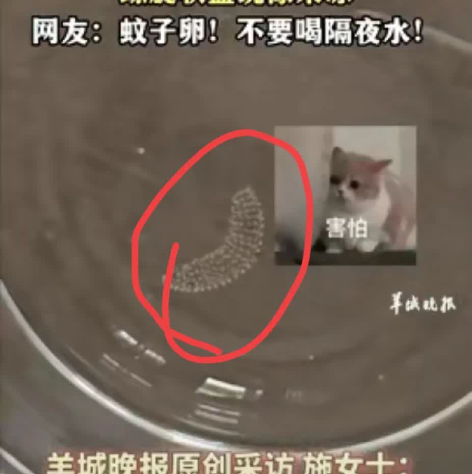 夏天喝水可得长个心眼！
云南大理一女子，
早上随手喝了半杯隔夜水，喝完才发现