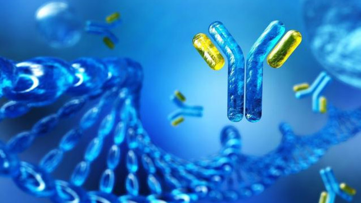 双特异性抗体（BsAbs）：突破肿瘤免疫治疗瓶颈的新型靶向策略