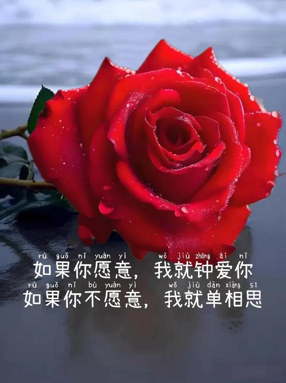 你是我
今生的偏爱
唯一的执念
爱过你
心便烙下你的印记
目光所及
尽是你温柔的