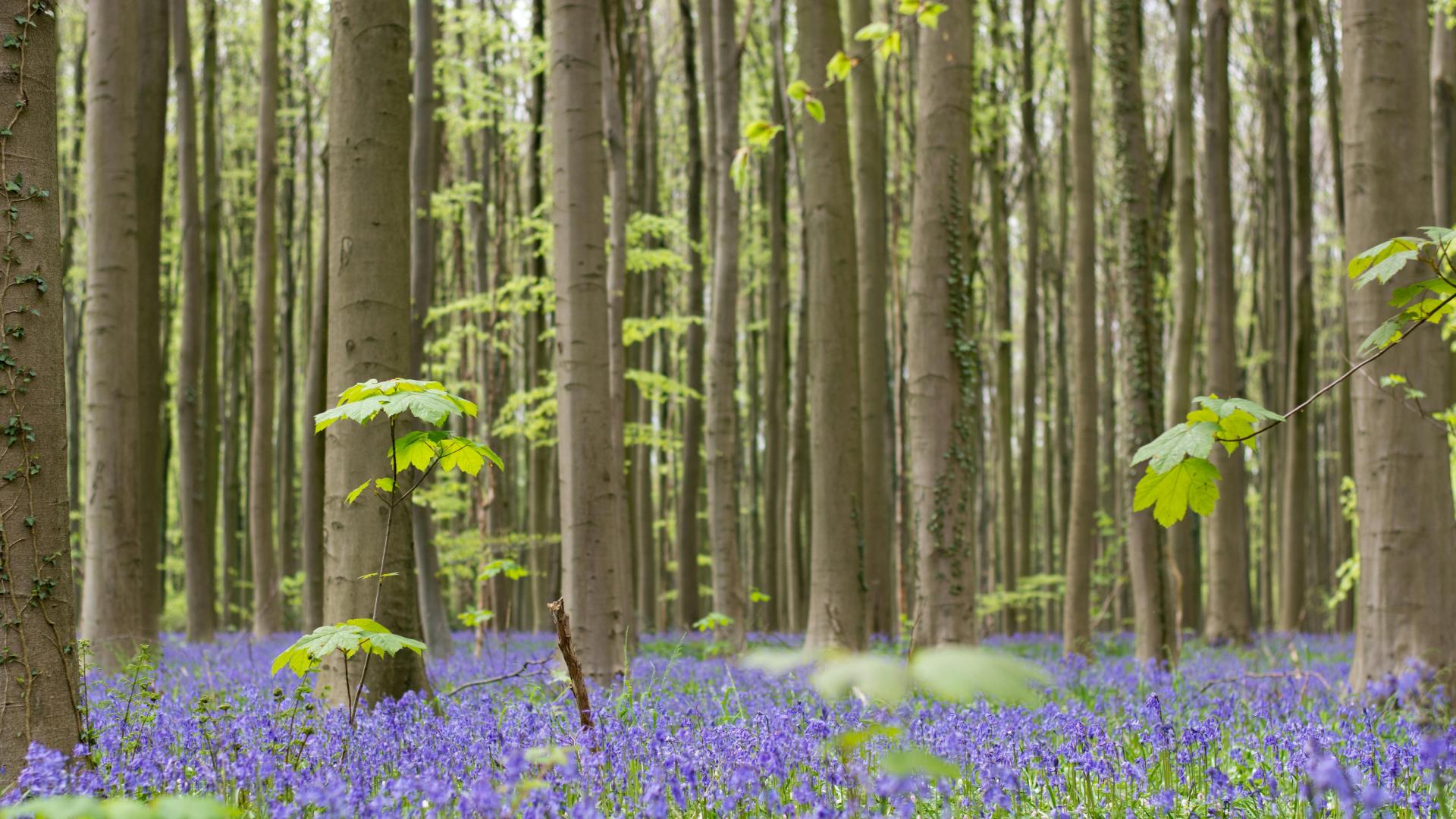 工伤赔偿的背后：我的办案手记
