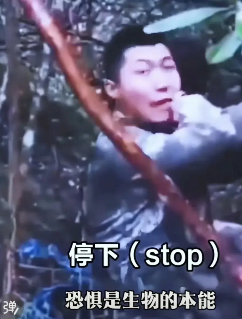 我想了10天10夜，也没有想明白。最近三哥家那边放出了一段，2021年在中印争议