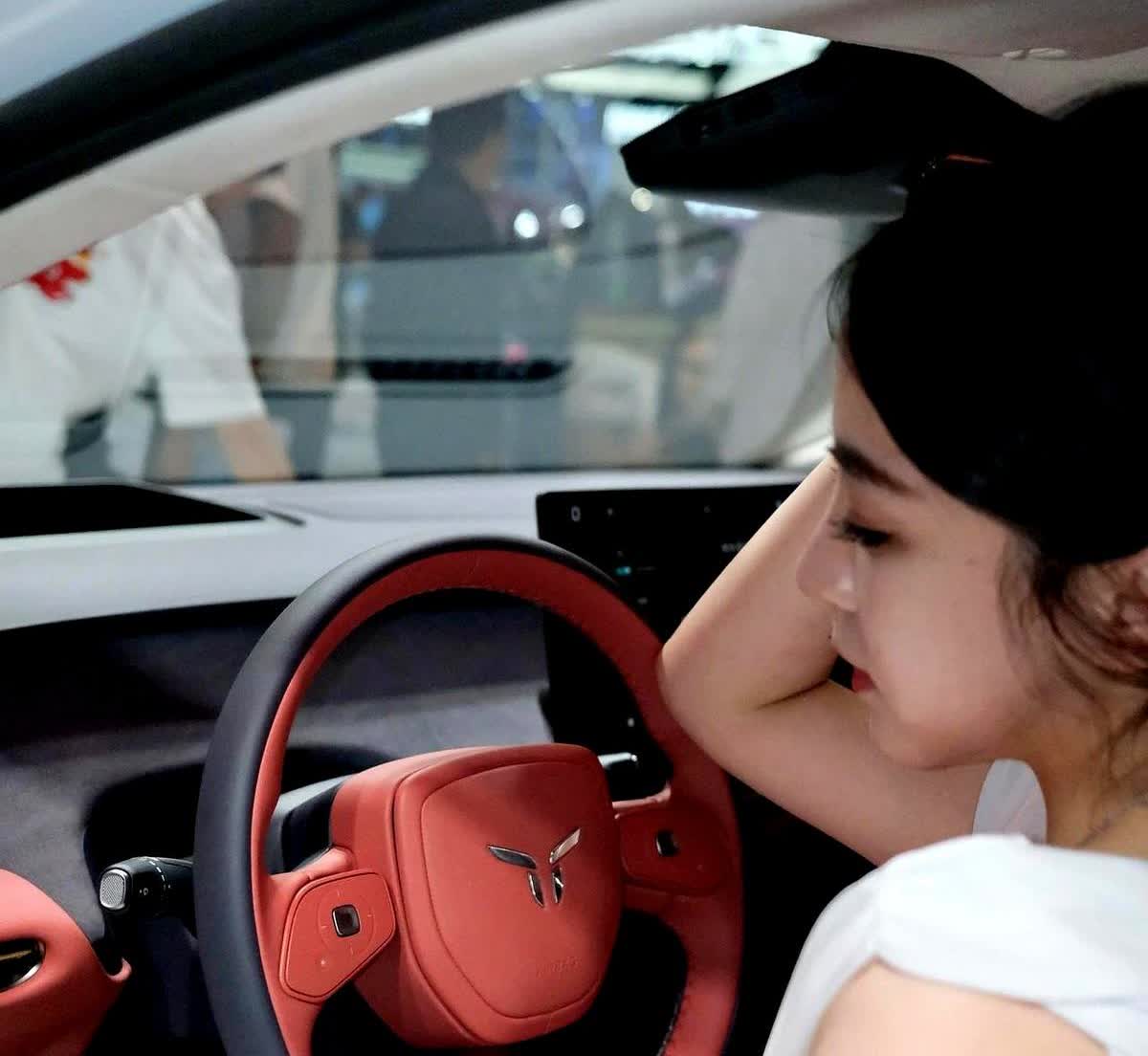 2025年买车攻略：

50％的人——买油混车

30％的人——买纯油车