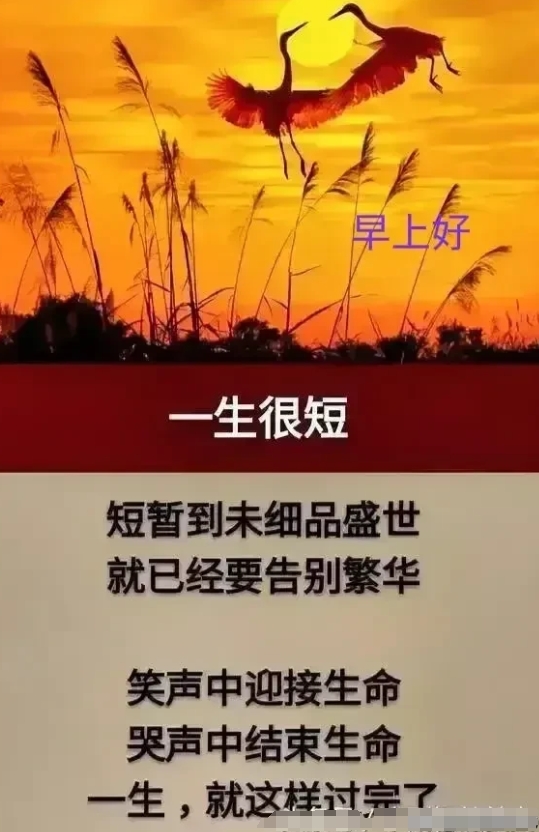 人活多久才算最好？

一：40多岁走可惜，二：50来岁走稍早，三：60岁左右走有