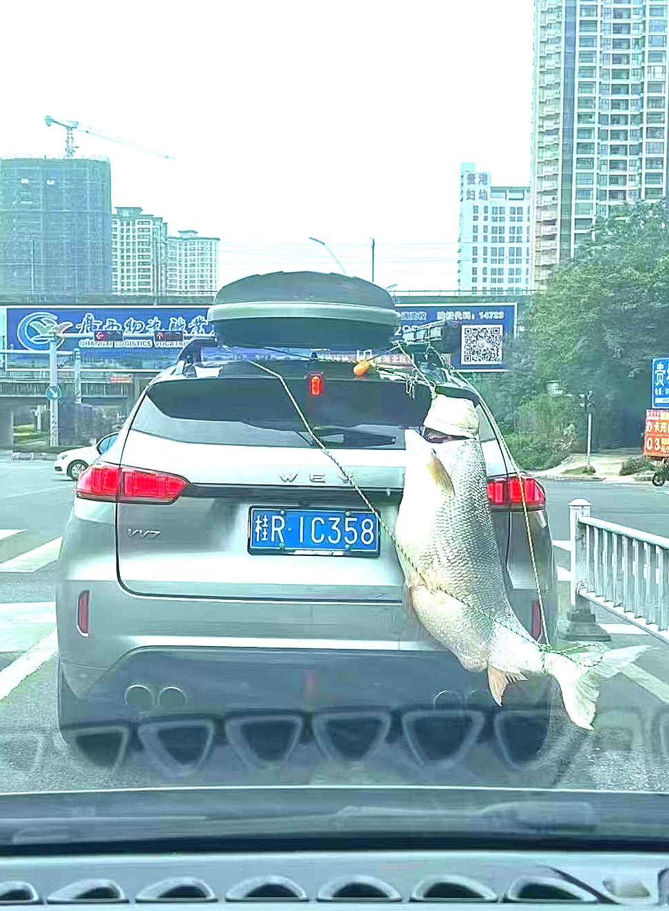 兄弟我跟你转了大半个桂R，你到底回不回家？[卧槽]