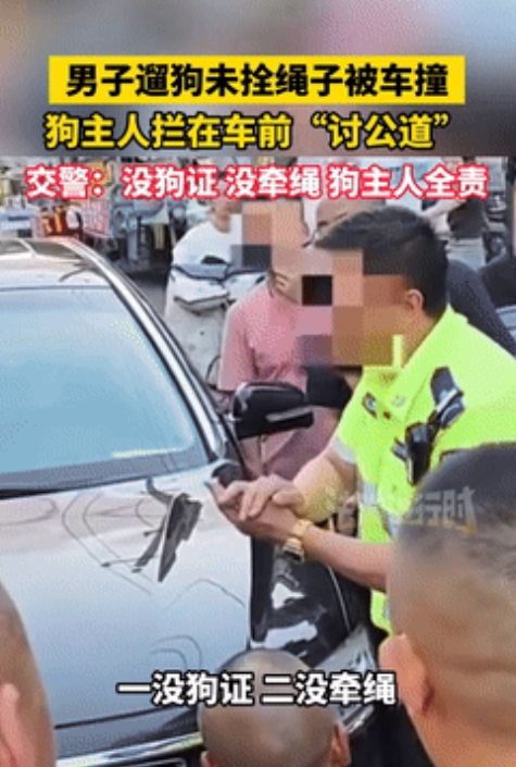 河北，男子在大街上遛狗不牵绳，还没办狗证，结果狗被正常行驶的汽车给撞死，男子立马