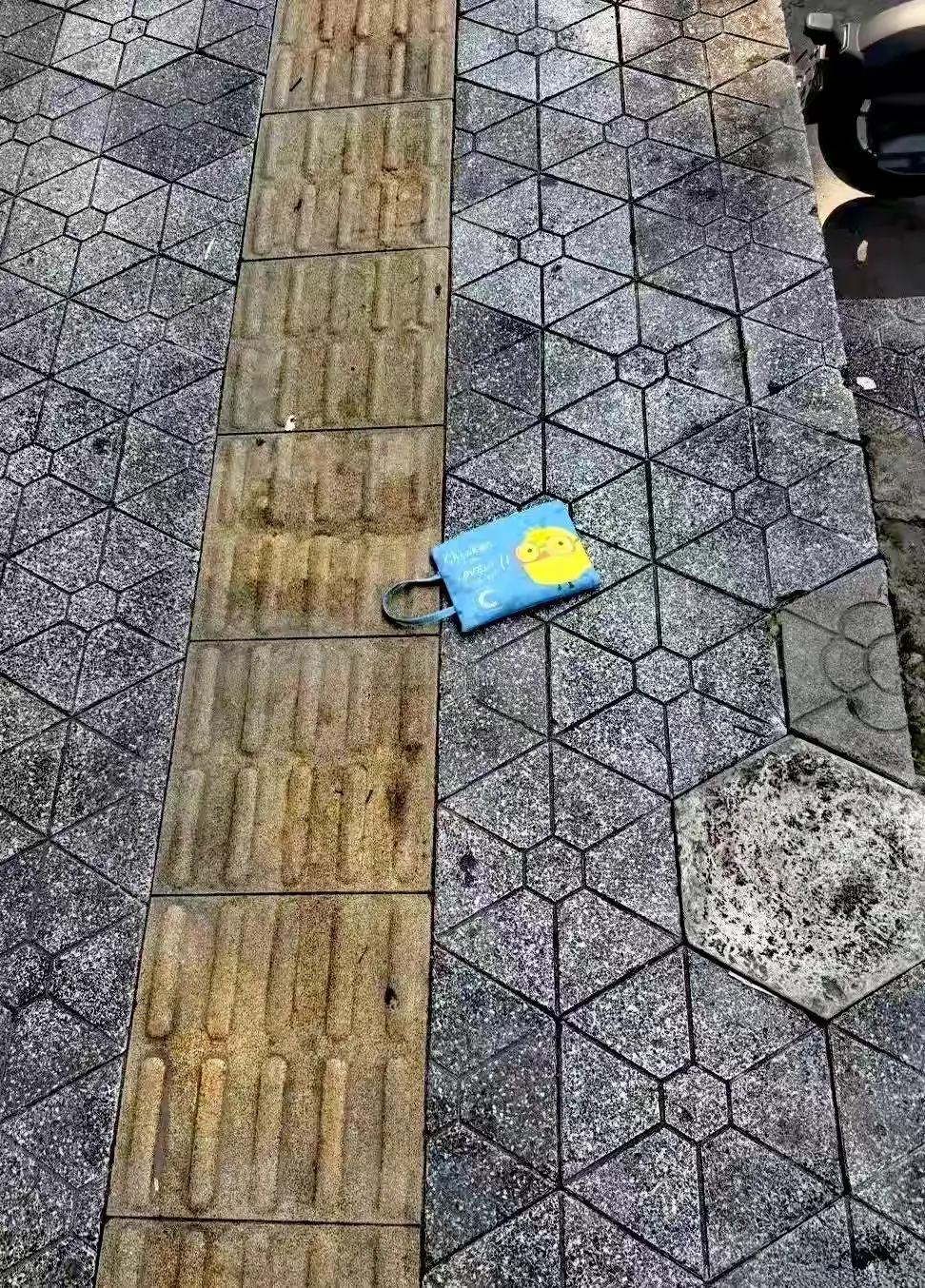 在路上捡的，我该怎么办？