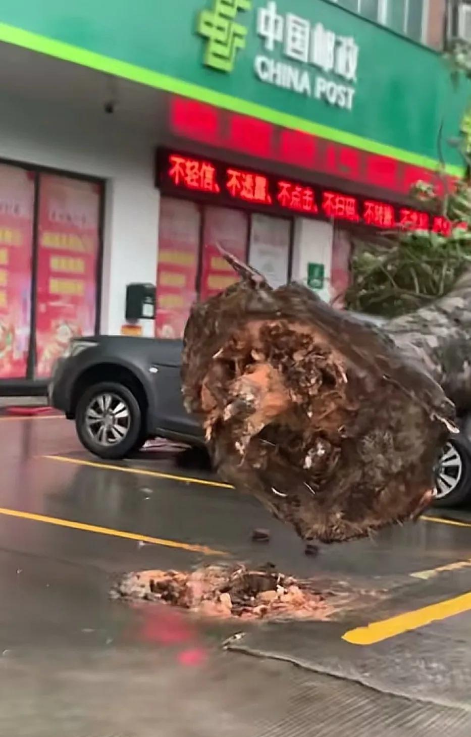 你们那里还好吗？
台风真的到阳江来了，现在外面还在呼啸着狂风，我的车子现在就停在