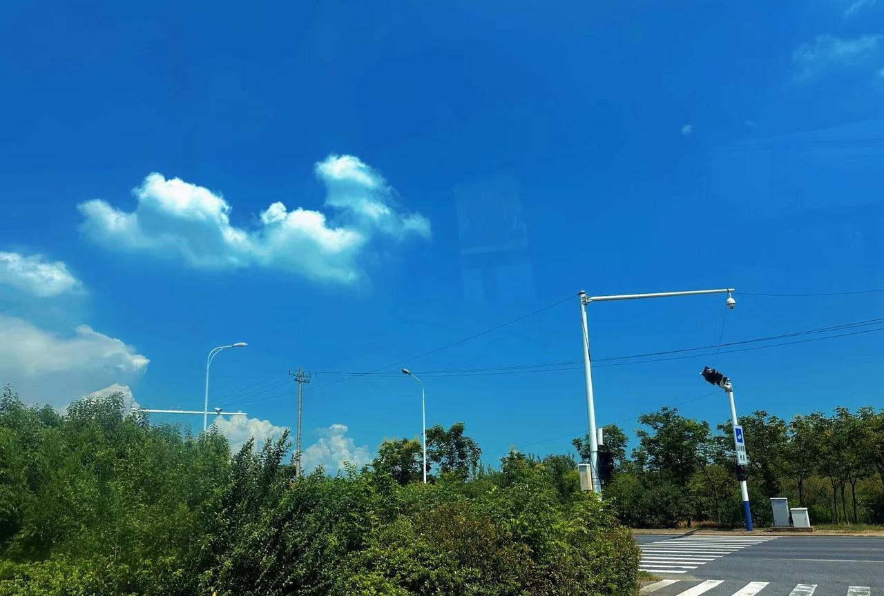 昨天回了城里。回到家一刻不停歇就开始打扫卫生，一直到晚上9点才结束。儿子问我：为