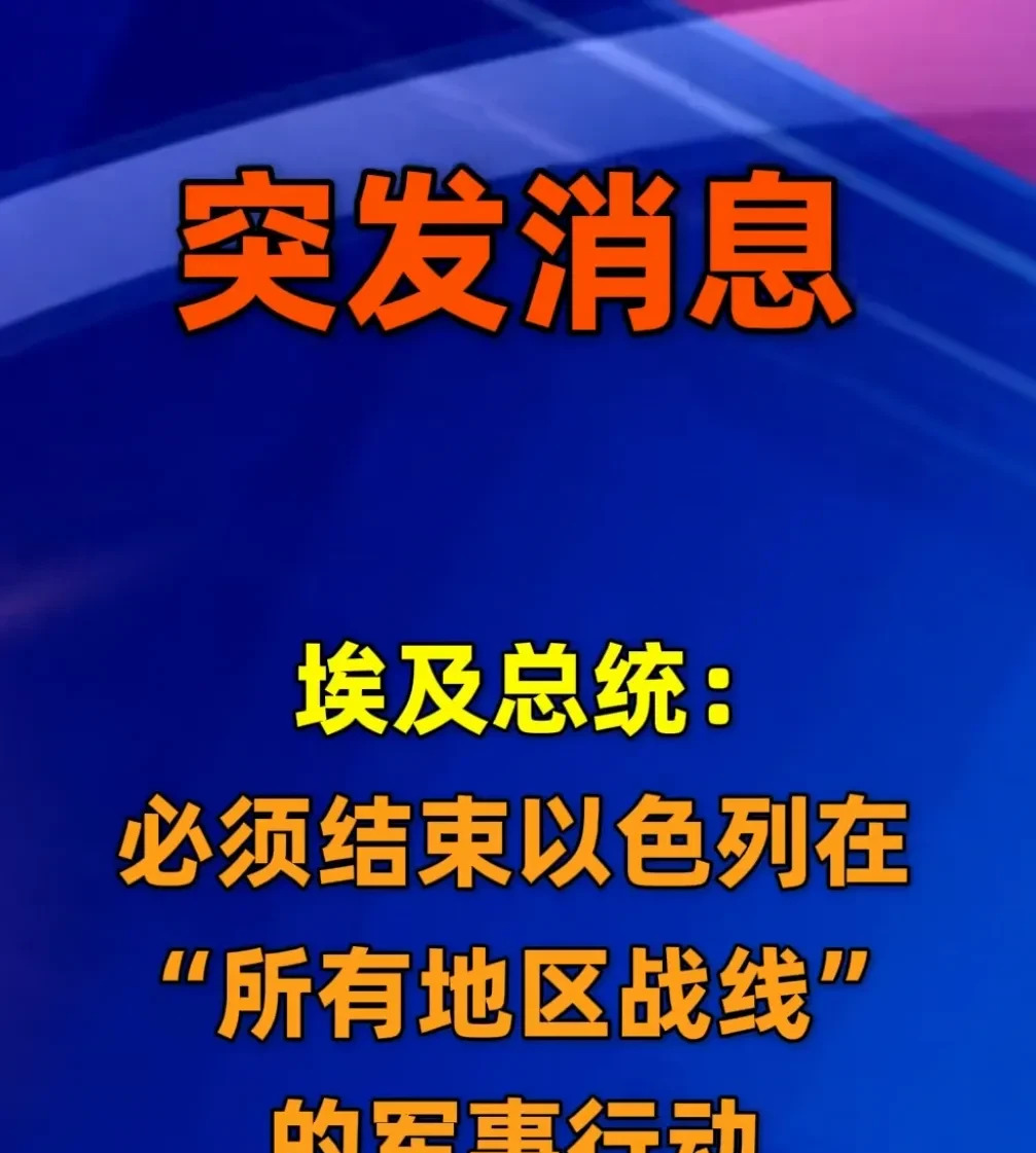 埃及总统警告以色列：别再惹事了











---








