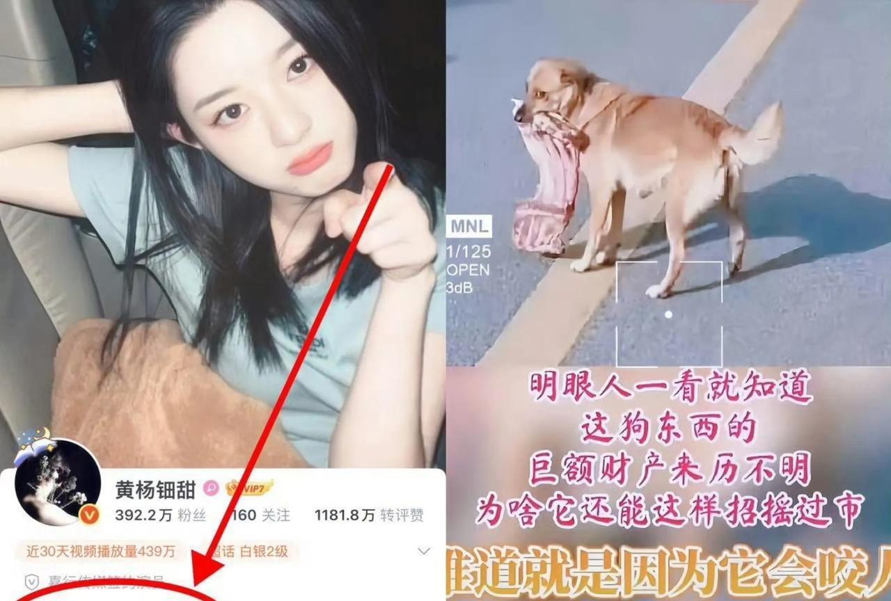 关于黄杨某甜事件最新情况的多方说法梳理
近日，针对黄杨某甜相关争议物品来源问题，