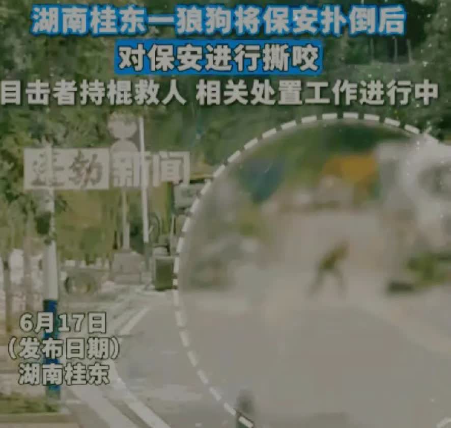 “当场击毙”好家伙，湖南这事儿可太让人揪心。

男子倒垃圾，被比特犬扑倒撕咬