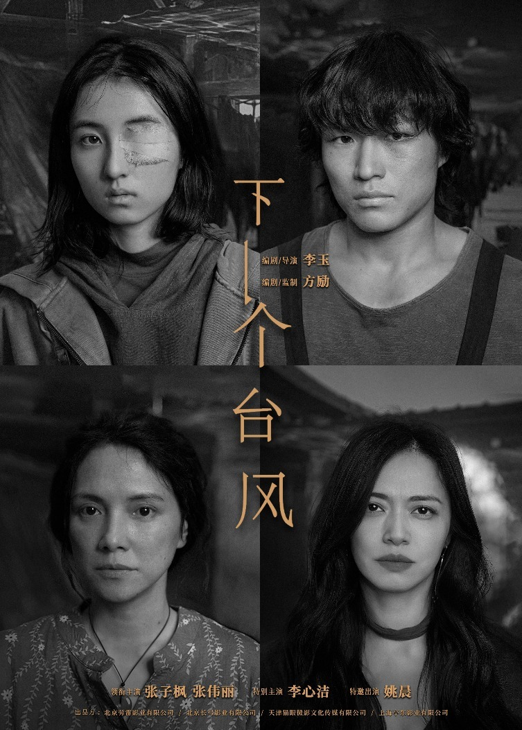   看了《下一个台风》张伟丽张子枫演的这部电影，我认为还是非常出乎我的意料的非常