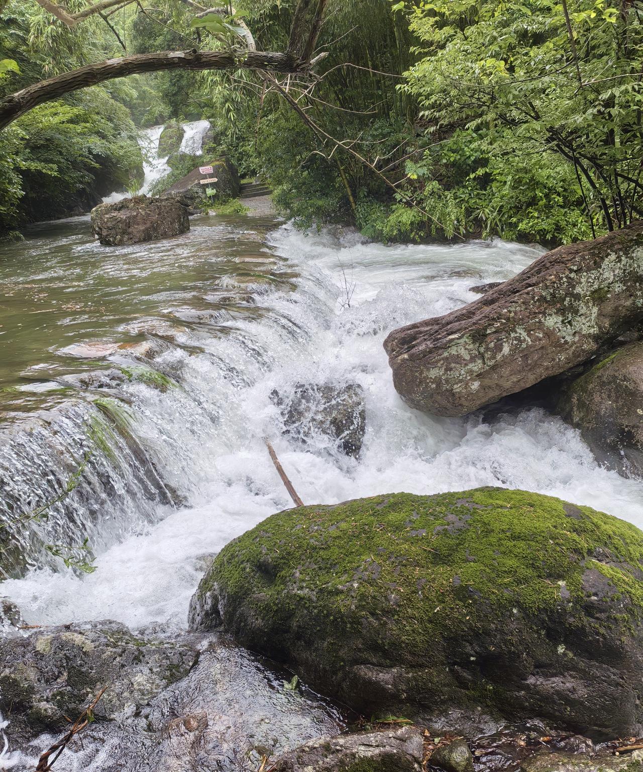 #分享手机里随手拍的风景相片#余杭汤坑山沟沟的风景。