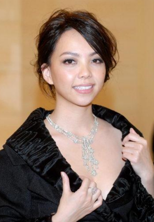 2010年，37岁的张惠妹对31岁的酒吧调酒师一见钟情，她为他砸下1500万，决