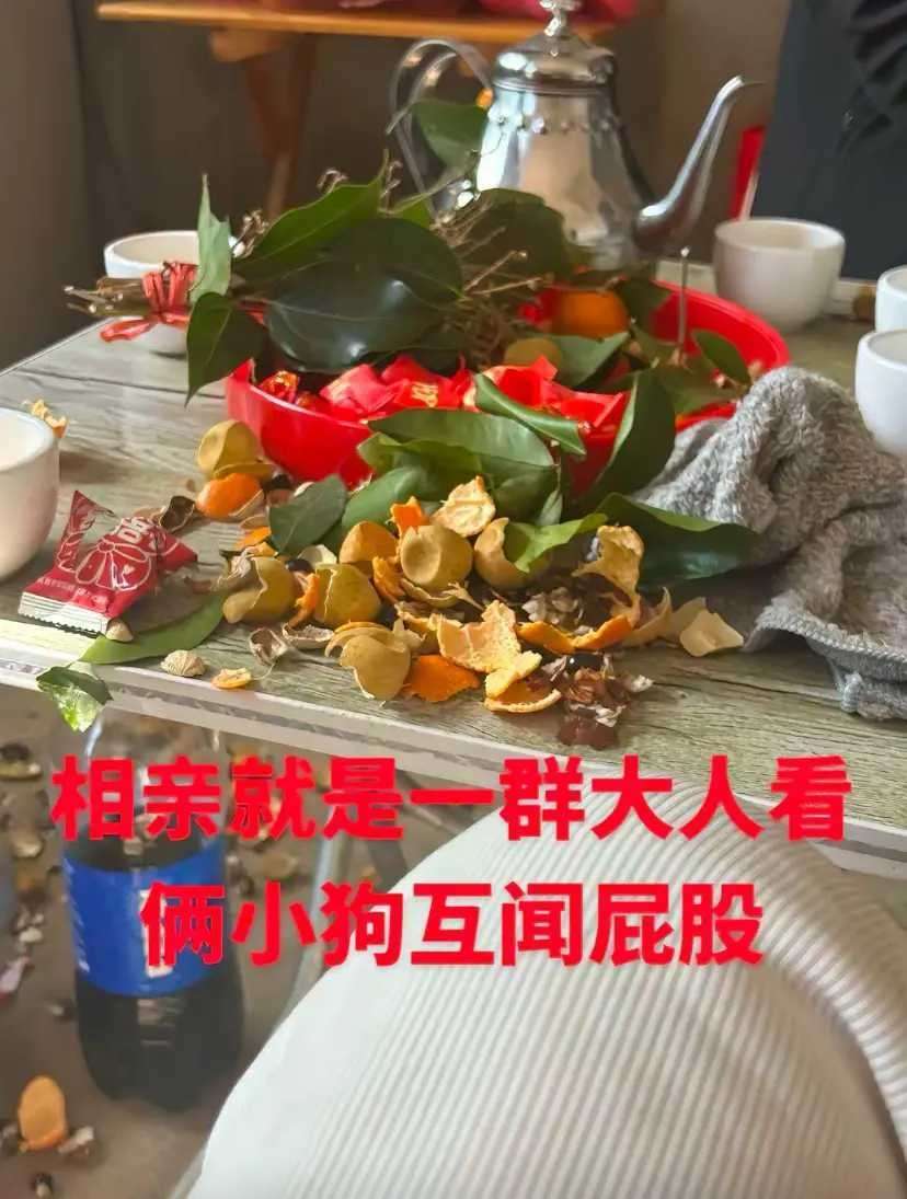 哈哈哈，相亲小狗们！！！！！