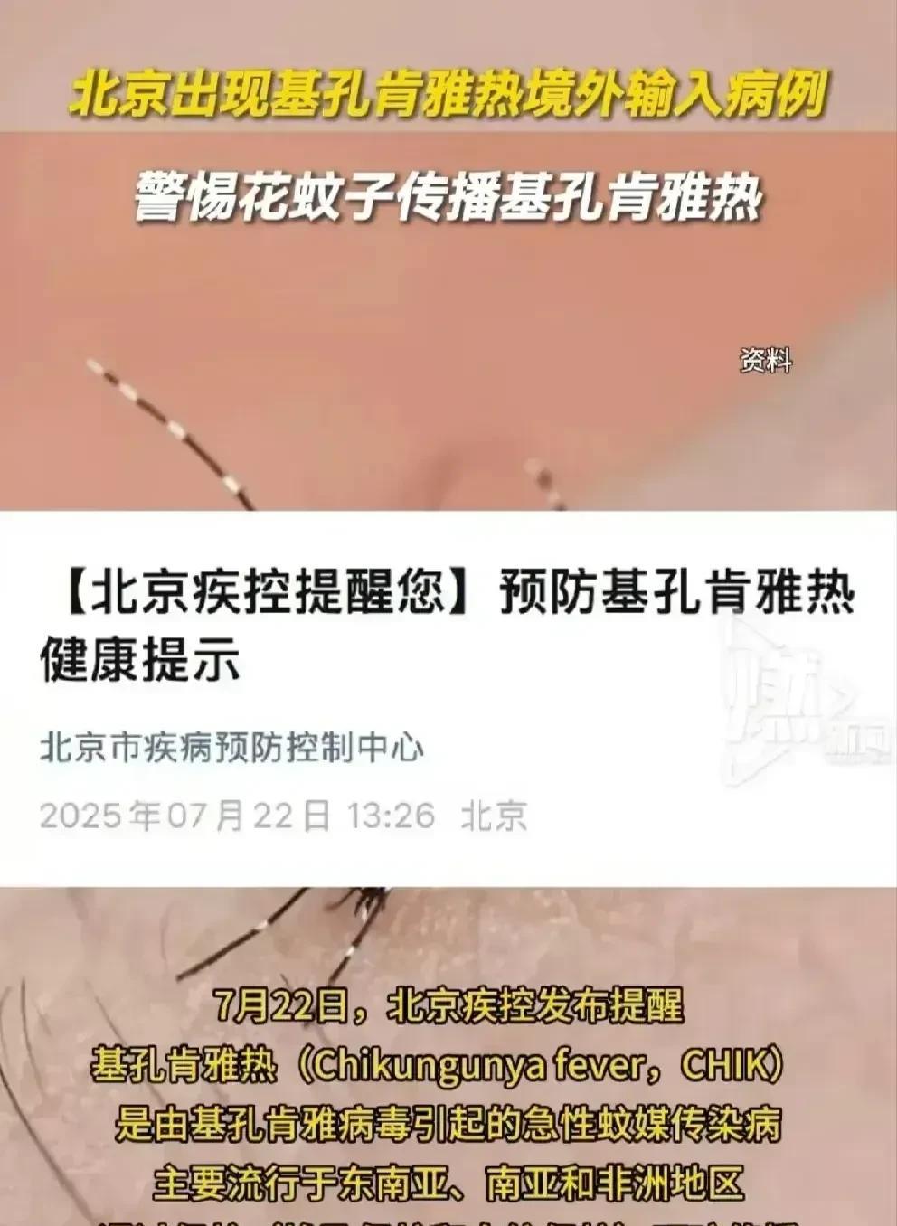 广东顺德一村庄，全体村民一起点蚊香！
点蚊香，是为了杀灭传播“基孔肯雅热”的蚊子