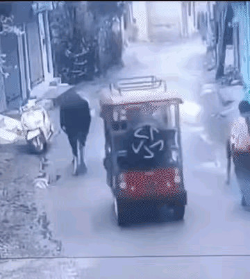 摩托车被牛偷了！











---











哎哟喂，您