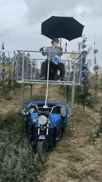 劳动者的发明创造，才是最接地气的，一个普通的三轮车，通过简单的改造，就成了果园作
