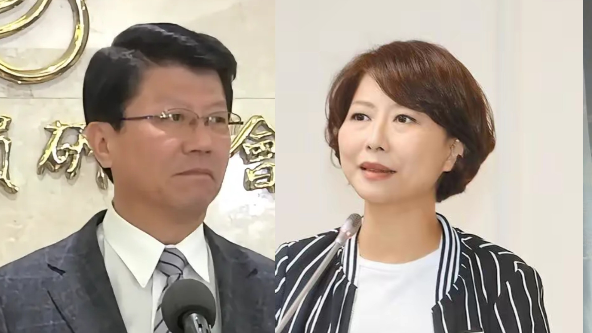 台南市长选战：谢龙介对决陈亭妃