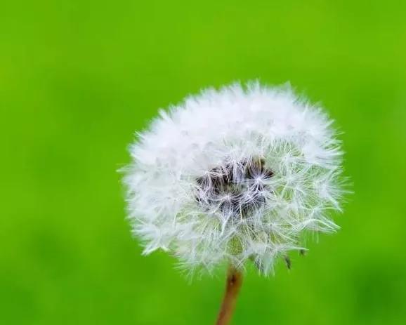 看完这段话，你就不抑郁了：“人生的终点是死亡，百年之后，我们都将不复存在。我们辛