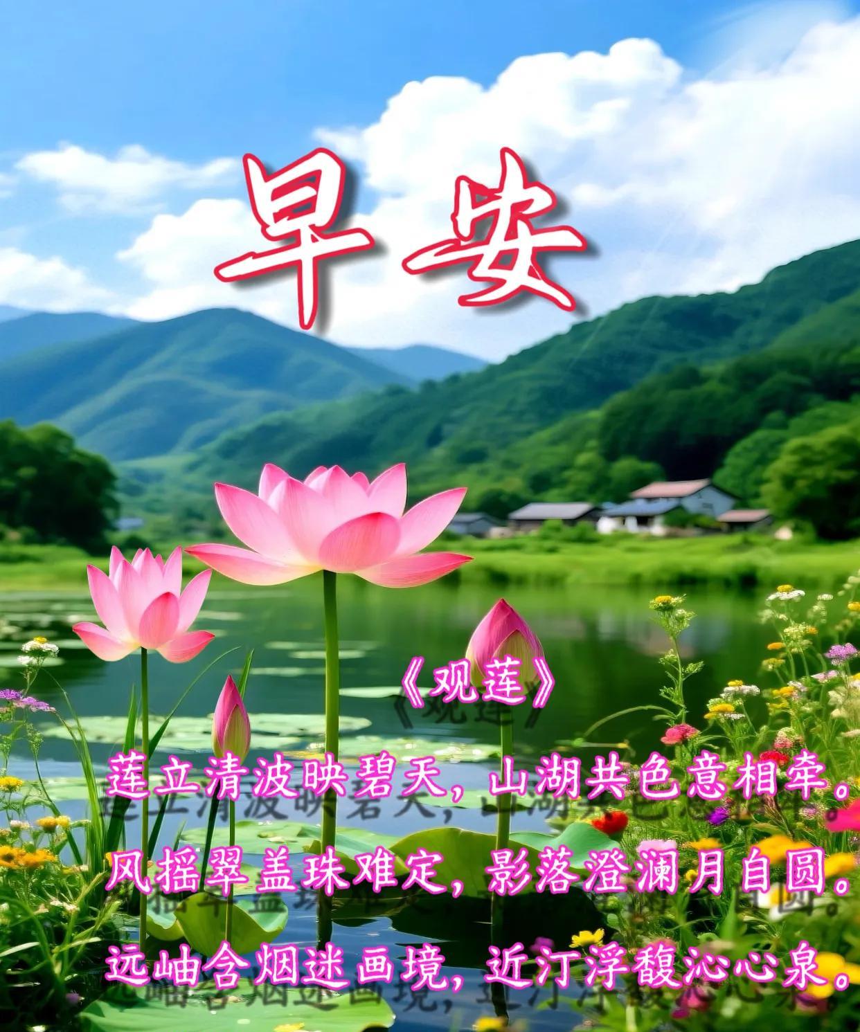 朋友：早安！
《观莲》 
莲立清波映碧天，山湖共色意相牵。
风摇翠盖珠难定，影落