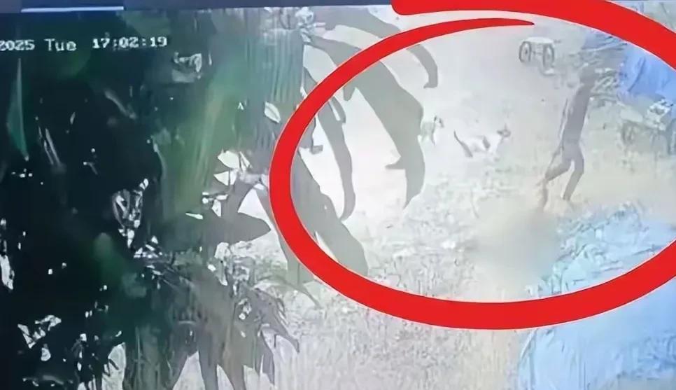 震惊了，近期有一个19岁的阿三哥，早早辍学打工，还吸毒了，有欲望后竟然魔爪伸向8
