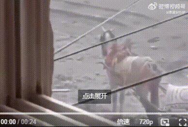 画面：加沙地区，一匹运送面粉的马儿被以色列士兵连开数枪杀死。
事发时，马儿拉着满