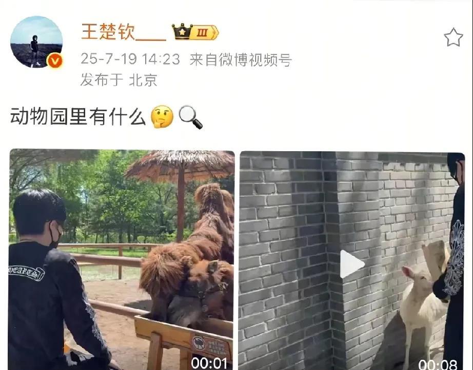 动物园里有什么——对象[奸笑]
所以哥去了动物园
有网友说:1423，一生爱莎