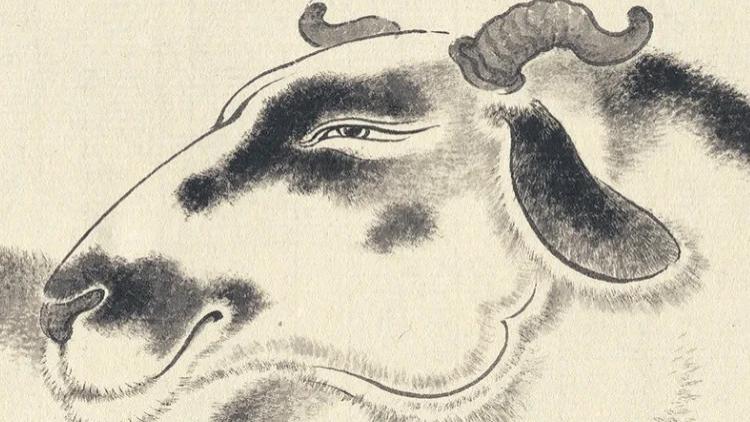 生肖羊，乙巳年大寒：1月21日-2月5日心智不稳，流离失所！