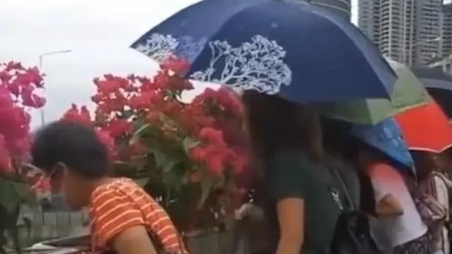 广州贪婪钉子户，30平老破小要1500万天价拆房款，15年后怎么样了