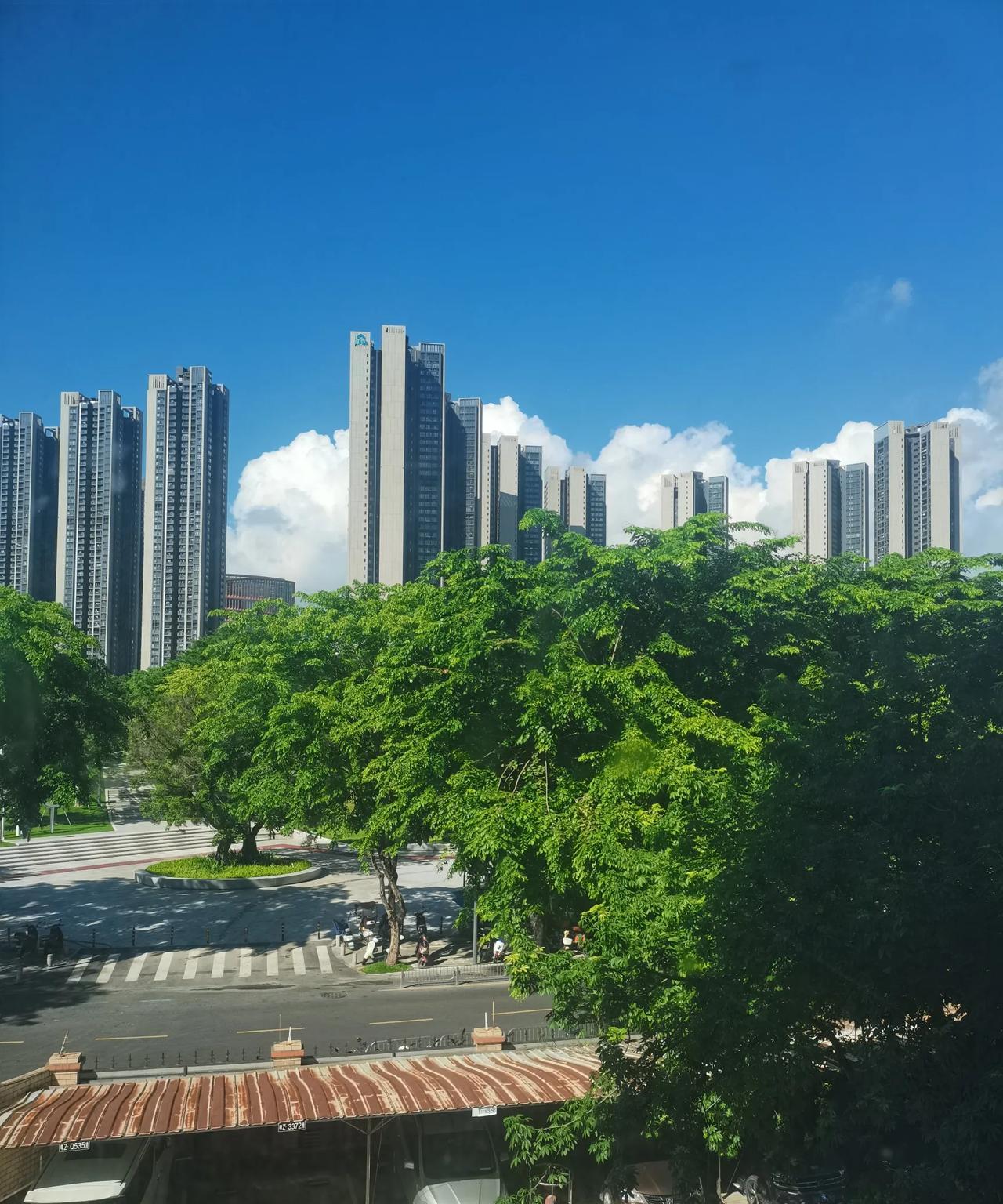 夏日窗外的风景
现在这么炎热的夏天，出门一趟也是需要勇气的。
我在窗内凝望窗外的