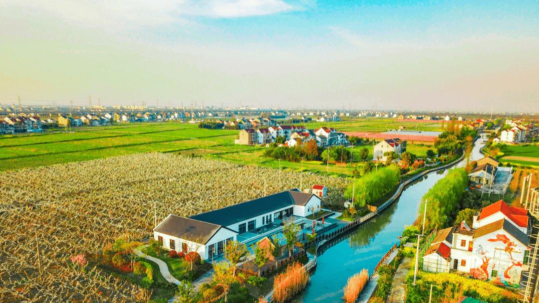 园区/基地等区域类政策资金（中）