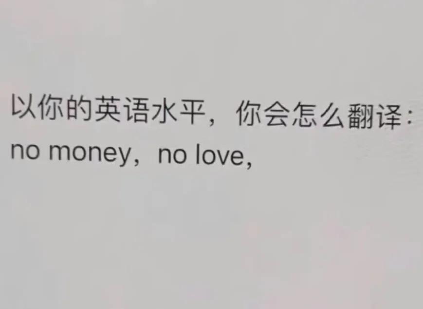 以你的英语水平，你会怎么翻译。