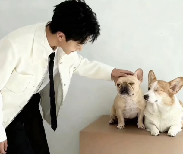 萌萌怀里的小猫咪好乖啊，旁边那只猫投来羡慕的眼神

萌萌还弯腰给它拍照，小猫很配