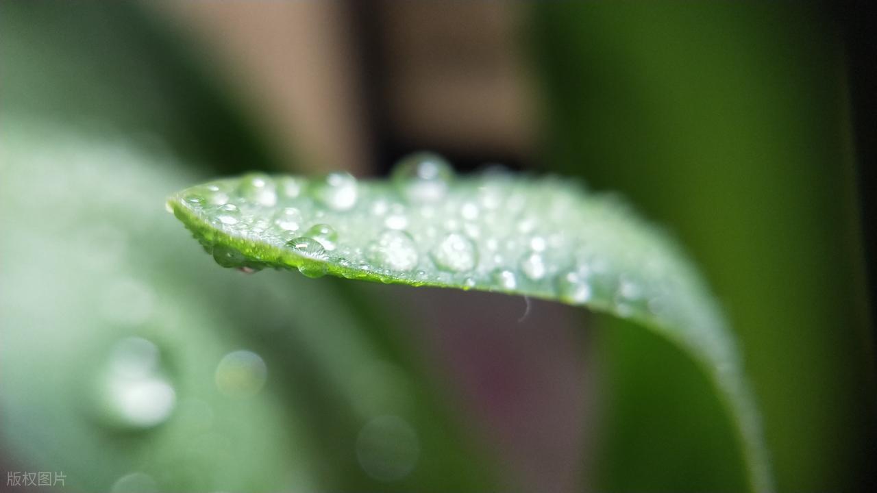 活了30多年，才领悟的老人言！看懂，少走弯路！